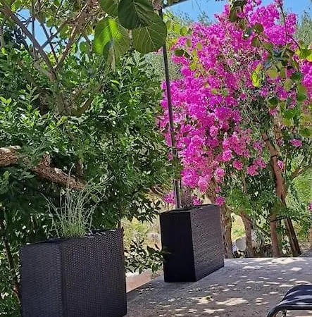 Apartment Apartman S Terasom I Vrtom